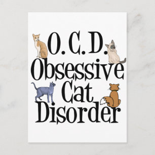 Cute Cat Humor Briefkaart
