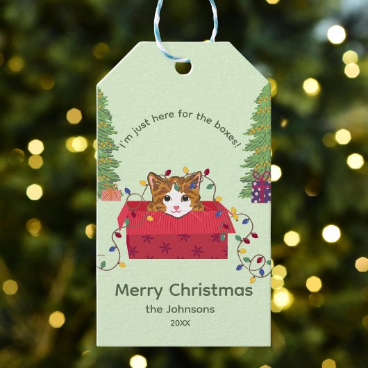 Cute Cat in a Box Here for the Boxes Christmas Cadeaulabel