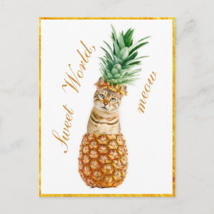 Cute Cat in een ananas - Funny Meow Kat Briefkaart