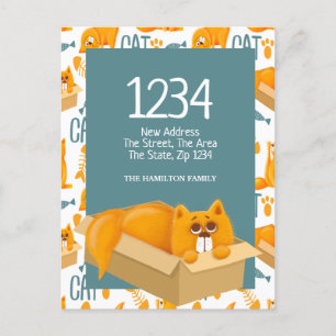 Cute Cat in een doos - We hebben naar huis gereden Briefkaart