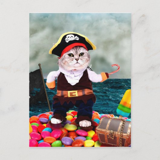 Cute cat in een piratenkostuum briefkaart (Voorkant)