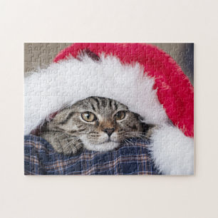 Cute cat in santa hat legpuzzel