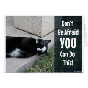 Cute Cat is niet bang