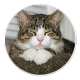 Cute Cat Keramische Knop