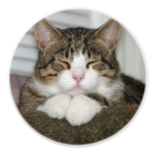 Cute Cat Keramische Knop (Voorkant)