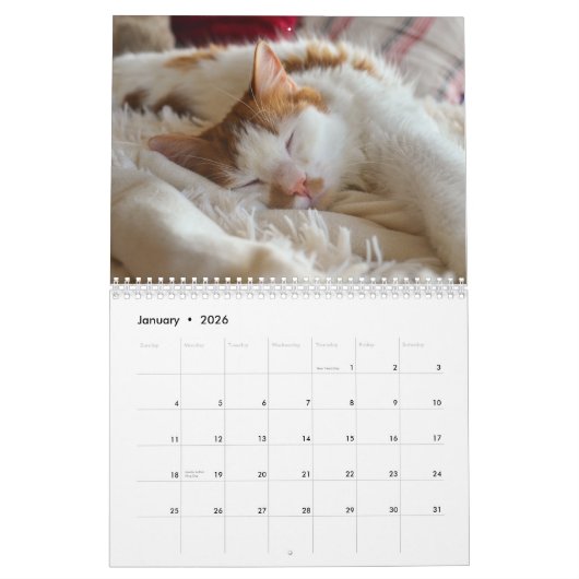 Cute Cat & Kitten Agenda 2023 Kalender (Jan 2026)