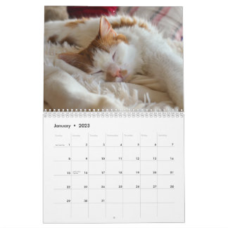 Cute Cat & Kitten Agenda 2023 Kalender