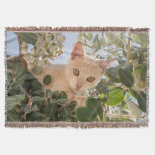 Cute Cat Kitten klimmen in een Eucalyptusboom - Deken