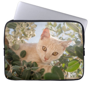 Cute Cat Kitten klimmen in een Eucalyptusboom — Laptop Sleeve