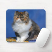 Cute Cat Kitten M003 Muismat (Met muis)