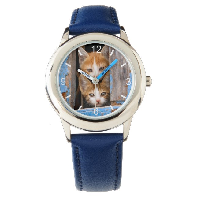 Cute Cat Kittens in Blue  Window dial-bord Horloge (Voorkant)