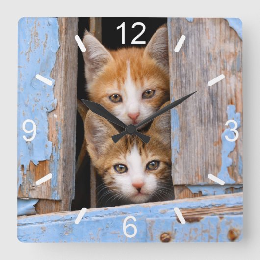 Cute Cat Kittens in Blue  Window dial-bord Vierkante Klok (Voorkant)