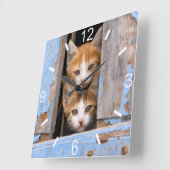 Cute Cat Kittens in Blue  Window dial-bord Vierkante Klok (Hoek)