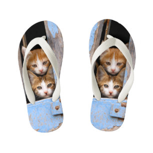 Cute Cat Kittens in Blue  Window Foto Kinder Teenslippers