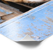 Cute Cat Kittens in Blue  Window Paperprint Foto Afdruk (Hoek)