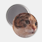 Cute Cat koelkast Pin Magnet Magneet (Voorkant / Achterkant)