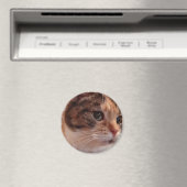 Cute Cat koelkast Pin Magnet Magneet (Insitu (Vaatwasser))