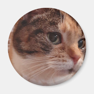 Cute Cat koelkast Pin Magnet Magneet
