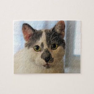 Cute Cat Legpuzzel
