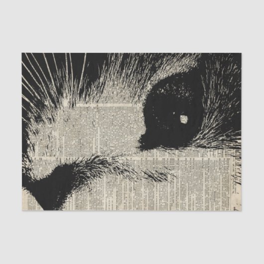 Cute Cat, liefdevol keukenpotlood over oude boekpa Tissuepapier (Voorkant)