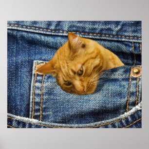 Cute Cat Lovers Keepomwille gift Poster