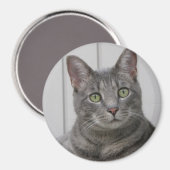 Cute Cat Magnet Magneet (Voorkant / Achterkant)