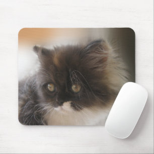 Cute Cat Muismat