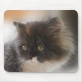 Cute Cat Muismat (Voorkant)