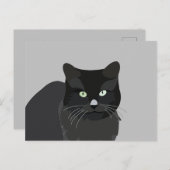 Cute Cat Pet Animal Briefkaart (Voorkant / Achterkant)