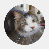 Cute Cat Pet Lovers Creëer Uw eigen Aangepast Glas Ornament (Achterkant)