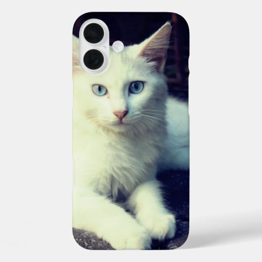 Cute Cat Phone Case (Achterkant)