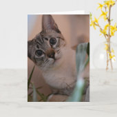 Cute Cat Photo Portrait Kaart (Gele Bloem)
