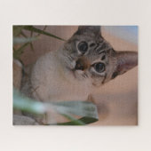 Cute Cat Photo Portrait Legpuzzel (Horizontaal)