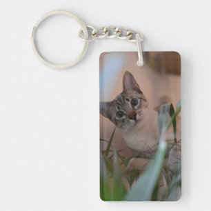 Cute Cat Photo Portrait Sleutelhanger