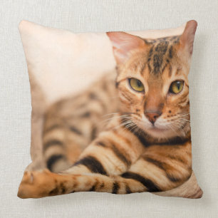 Cute Cat Polyester Sierkussen 20 x 20 inch
