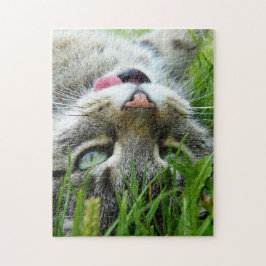 Cute Cat puzzels