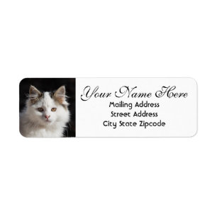 Cute Cat Return-adres Etiket