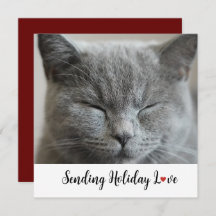 Cute Cat Sending Holiday Love