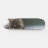 Cute Cat Skateboard (Horizontaal)