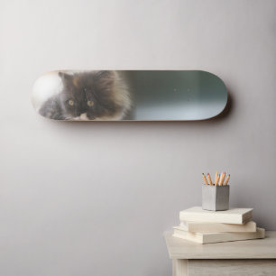 Cute Cat Skateboard