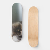 Cute Cat Skateboard (Voorkant)