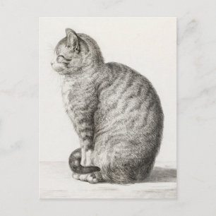 Cute Cat Sketch Jean-Bernard Duvivier Briefkaart