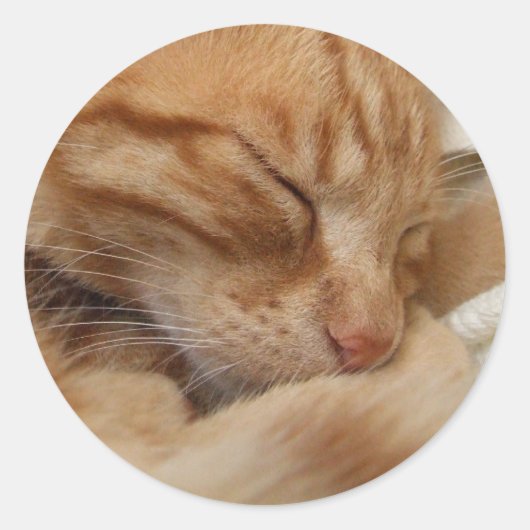 Cute Cat Stickers (Voorkant)