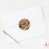 Cute Cat Stickers (Envelop)