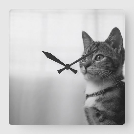 Cute Cat Vierkante Klok (Voorkant)