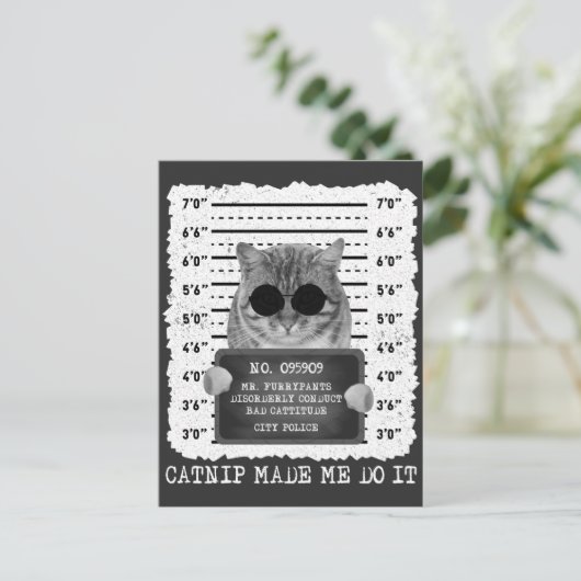 Cute Catnip maakte dat ik het cat Mugshot deed Briefkaart (Staand voorkant)