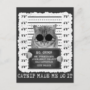 Cute Catnip maakte dat ik het cat Mugshot deed Briefkaart
