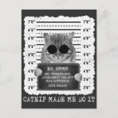 Cute Catnip maakte dat ik het cat Mugshot deed Briefkaart (Voorkant)