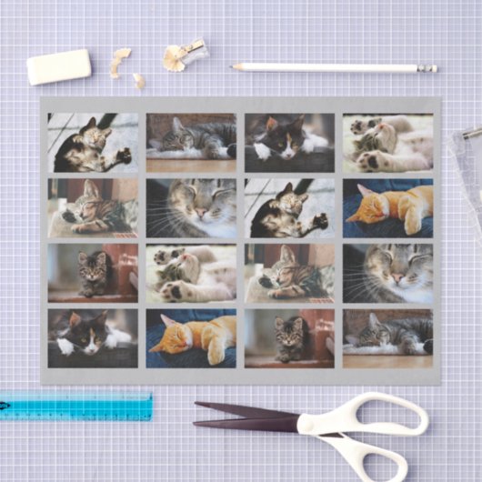 Cute Cats and Kittens Photo Template on Grey Tissuepapier (Craft)