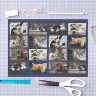 Cute Cats and Kittens Photo Template on Navy Blue Tissuepapier